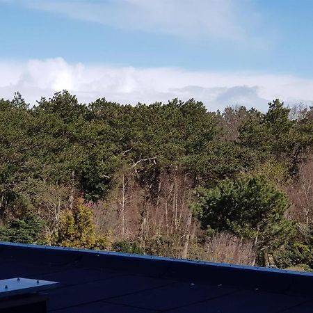 Apartament Haus Luv Und Lee, Moewennest Whg 26 Sankt Peter-Ording Zewnętrze zdjęcie